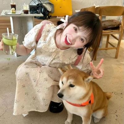 幸福摩天轮 在线观看